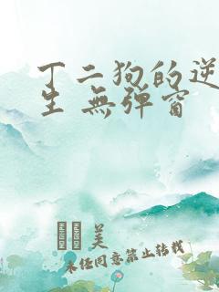 丁二狗的逆袭人生 无弹窗