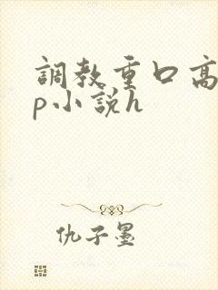 调教重口高辣np小说h