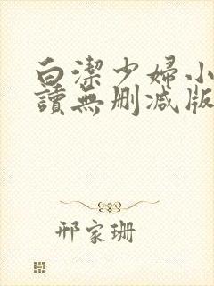 白洁少妇小说阅读无删减版全文