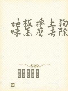 地板砖上狗尿骚味怎么去除