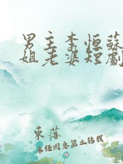 男主李恒苏涵空姐老婆短剧