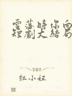 雪落时你向南飞短剧大结局