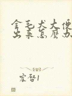 金毛犬大便拉不出来怎么办