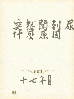 突然闻到尿骚味什么原因