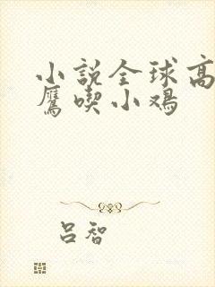 小说全球高武老鹰吃小鸡