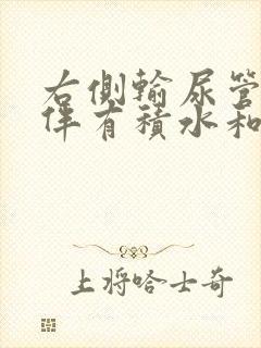 右侧输尿管结石伴有积水和感染