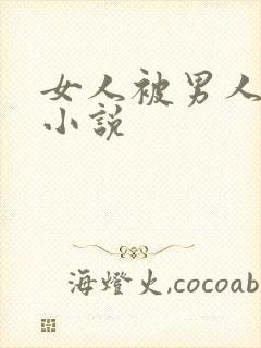 女人被男人干的小说