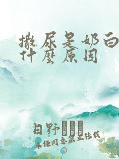 撒尿是奶白色是什么原因