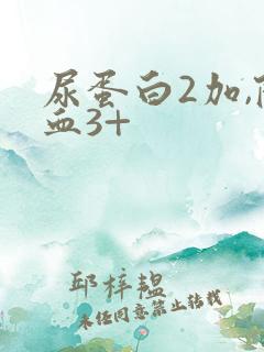 尿蛋白2加,隐血3+