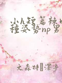 小h短篇辣肉各种姿势np男男