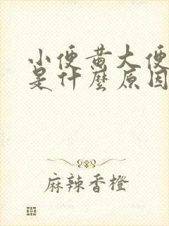 小便黄大便粘腻是什么原因