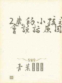 2岁的小孩还不会说话原因