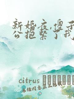 新婚夜,傻子老公抱紧了我