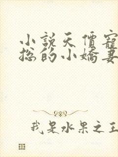 小说天价宠妻霍总的小娇妻