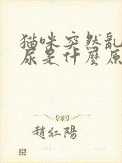 猫咪突然乱拉乱尿是什么原因