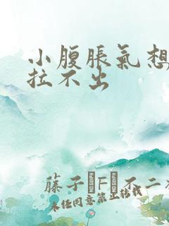 小腹胀气想拉又拉不出