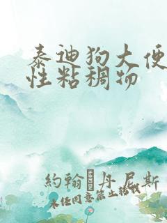 泰迪狗大便带血性粘稠物