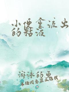 小便会流出透明的粘液