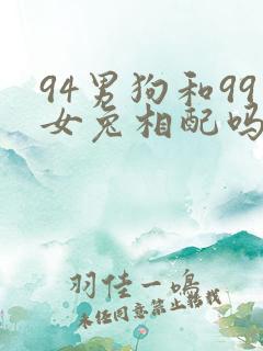 94男狗和99女兔相配吗