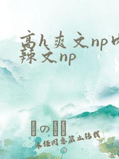高h爽文np肉辣文np