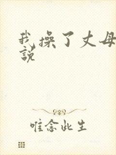 我操了丈母娘小说