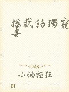 总裁的独宠小狂妻