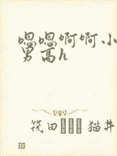 嗯嗯啊啊小说男男高h