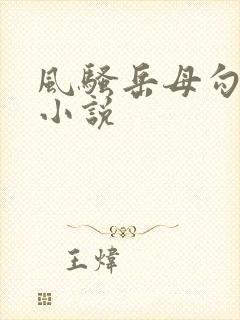 风骚岳母勾引我小说