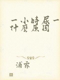 一小时尿一次是什么原因