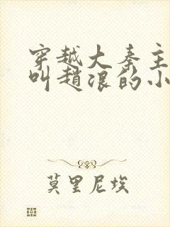 穿越大秦主人公叫赵浪的小说