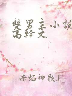 双男主小说推荐高干文