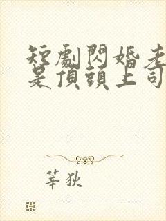 短剧闪婚老公竟是顶头上司大结局