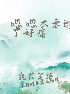 嗯 嗯不要进去了好痛