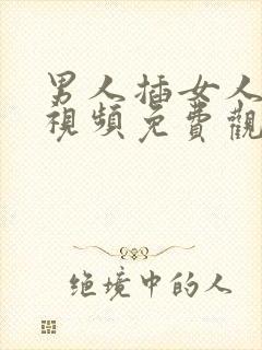 男人插女人在线视频免费观看