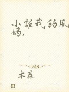 小说我的风流妈妈,