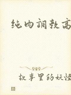 纯肉调教高h