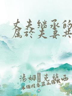 丈夫继承的遗产属于夫妻共同财产吗