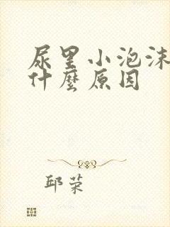 尿里小泡沫多是什么原因