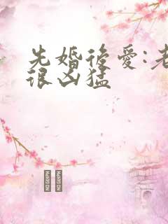 先婚后爱:老公很凶猛