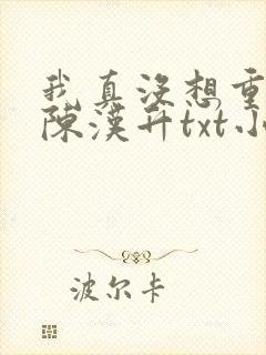 我真没想重生啊陈汉升txt小说下载