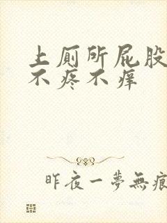 上厕所屁股出血不疼不痒