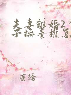 夫妻离婚2个孩子抚养权怎么判定