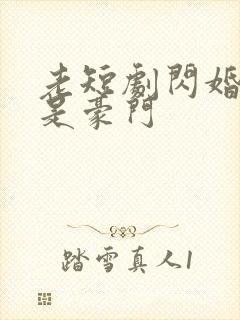 老短剧闪婚老公是豪门