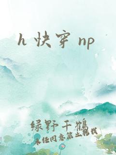 h 快穿 np
