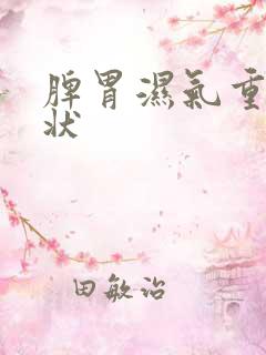 脾胃湿气重的症状