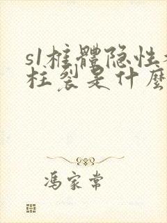 s1椎体隐性脊柱裂是什么意思