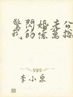 惊闪婚老公竟是我的亿万总裁