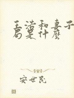 王浩和妻子的结局是什么