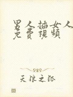 男人插女人视频免费视频