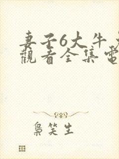 妻子6大牛免费观看全集电视剧